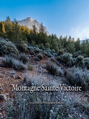 cover image of Montagne Sainte Victoire--Chroniques 2022